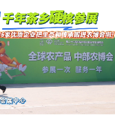 视频丨千年茶乡硬核参展！茶陵16家企业亮相第二十六届中国中部（湖南）农博会
