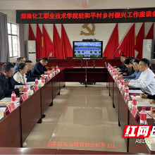 湖南化工职院赴怀化溆浦县双井镇和平村调研乡村振兴工作