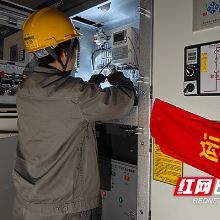 国网攸县供电公司:油茶飘香盼电来,供电服务踏歌至