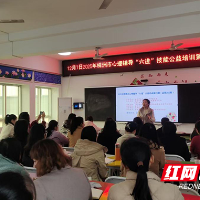 株洲市心理健康辅导TA理论公益培训举办