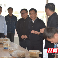 省教育厅调研株洲市特殊教育学校职业教育工作