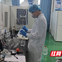 湖南化工职院国家集训队选手刘高阳：技能报国，青春无悔