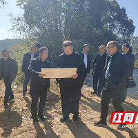 湖南工业大学赴茶陵县水头村调研乡村振兴工作