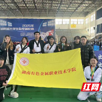 湖南有色金属职院在2025年湖南省大学生跆拳道比赛中勇创佳绩