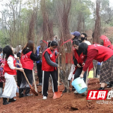 湖南工业大学开展2025年“我为校园添抹绿”植树活动