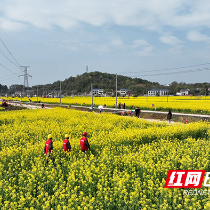 国网株洲攸县供电公司以“满格电力”护航省油菜花节