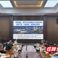 荷塘区开展“荷你益企”法律知识沙龙暨知识产权“入园惠企”专题培训活动