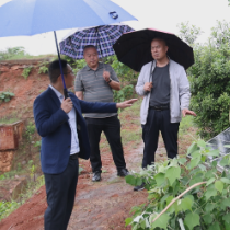 茶陵县：“人防+技防”排查地质灾害隐患点  确保安全度汛