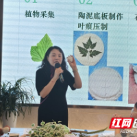 45组家庭共赴绿色之约！株洲景炎社区学堂解锁植物奥秘