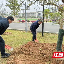 株洲市南方中学以“籽”为媒 厚植民族团结教育沃土