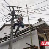 国网株洲供电公司：与暴雨争分夺秒 12小时全力以“复”