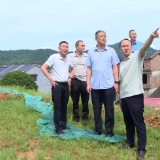 茶陵县积极开展地质灾害隐患“微治理”