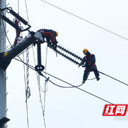 国网株洲供电公司：“青”尽全力 备战迎峰度夏