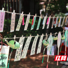 湖南有色金属职院“墨韵传薪·艺润社区”校社文化共建美育实践活动举行