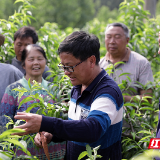 湖南好人丨黄远太：扎根深山三十载 一片丹心写春秋
