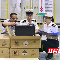 一线护航“储能出海”，株洲海关积极支持地方储能产业发展