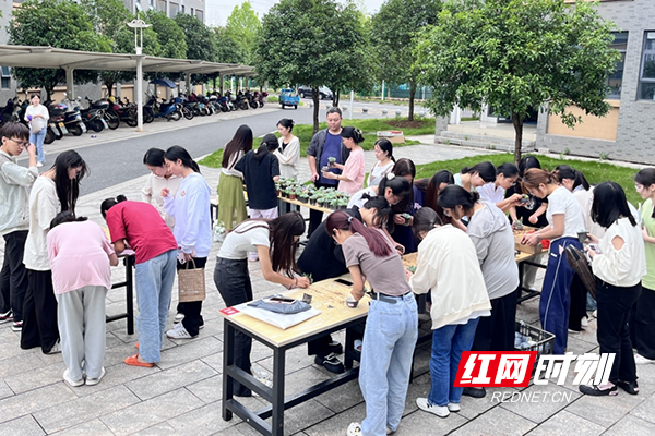 图片12.jpg