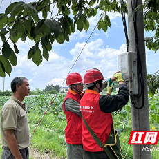 国网城东供电支公司： 电力赋能“水果村” 绘就美丽乡村新画卷