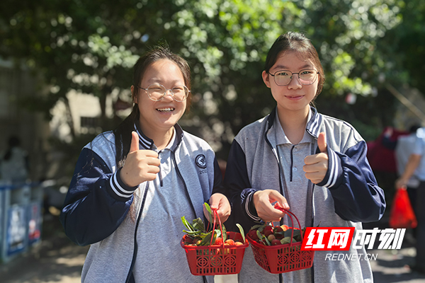 株洲市十三中举办杨梅采摘仪式为高三学子加油