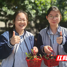 株洲市十三中举办杨梅采摘仪式为高三学子加油