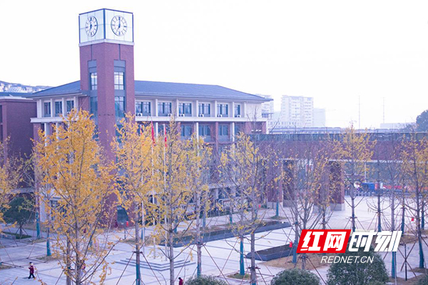 图片6.jpg