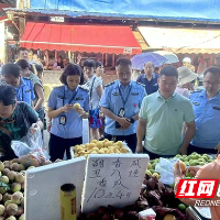 守护“炎陵黄桃”金字招牌 株洲市市场监管局开展地理标志保护行动