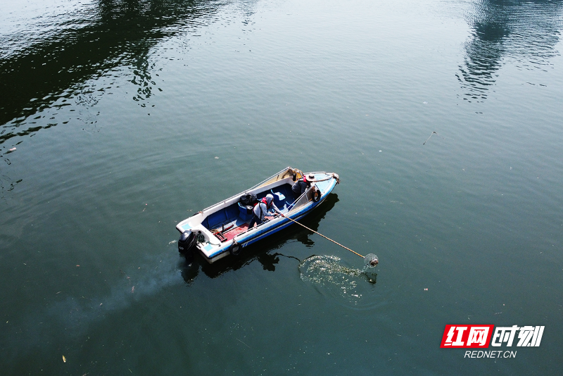 高温下的奋斗者②丨河道清洁员：“水面清道夫”用汗水守护河流清澈