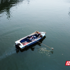 高温下的奋斗者②丨河道清洁员：“水面清道夫”用汗水守护河流清澈