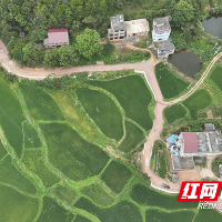 茶陵县思聪街道：一条同心路，万千桑梓情