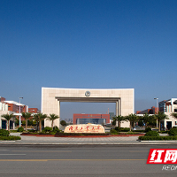 湖南工业大学学子在2025年中国大学生机械工程创新创意大赛中取得佳绩