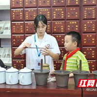 湖南中医药高专：40余名“小药童”的本草探秘之旅
