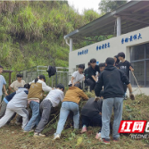 从指尖到心间，株洲特校2025年秋季劳动教育实践浇灌成长之花