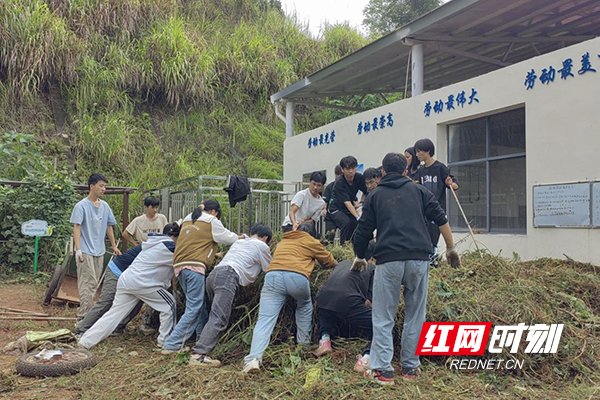图片3.jpg