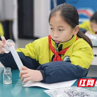 以赛促学强实践，荷塘区小学科学实验操作比赛落幕