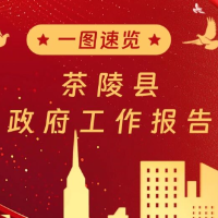 一图速览|茶陵县政府工作报告（2026年1月）
