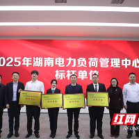 株洲市电力负荷管理中心荣获省级标杆单位