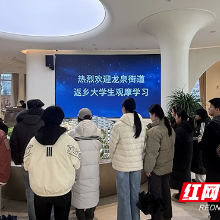 芦淞区：青春归巢话发展，智汇家乡启新程