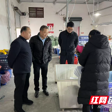 炎陵县鹿原镇：春节安全弦紧绷，一线排查护平安