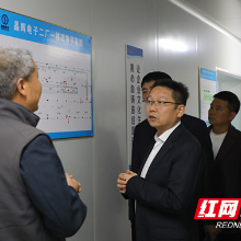 茶陵县领导调研园区电子信息产业