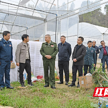 株洲军分区领导到醴陵乡村振兴一线调研慰问