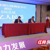 11家银行与茶陵签约，金融“活水”助推县域高质量发展