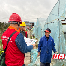 国网攸县供电公司：电润良田 情暖春耕