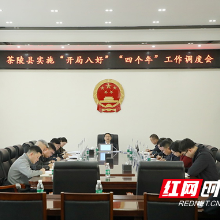 茶陵县实施“开局八好”“四个年”工作调度会召开