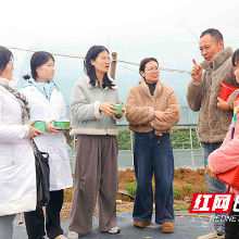 湖南化工职院：以技助农守沃土把实验室“搬”进田间地头