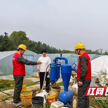 国网株洲供电公司:电力护航,果农喜上“莓”梢