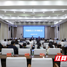 茶陵县召开当前重点工作调度会