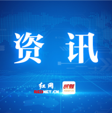 2026年株洲市城区普通高中体育后备人才自主招生计划出炉