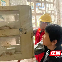 国网株洲天元供电支公司：紧急加装UPS电源 心系吸氧特殊用电居民