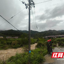 国网茶陵县供电公司：骤风急雨有担当，电力守护安民心