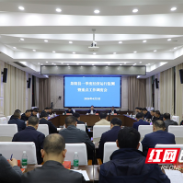 茶陵县一季度经济运行监测暨重点工作调度会召开